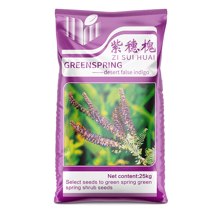紫穗槐.jpg